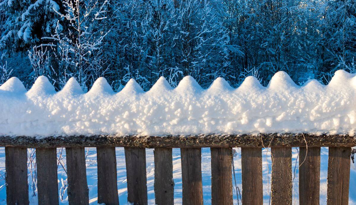 деревянный забор зимой