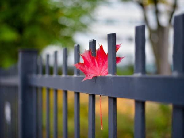 Когда лучше ставить забор, весной или осенью?