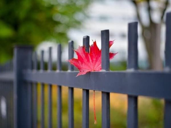 Можно ли ставить заборы осенью?